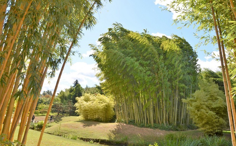 Parc exotique de la Bambouseraie de Prafrance
