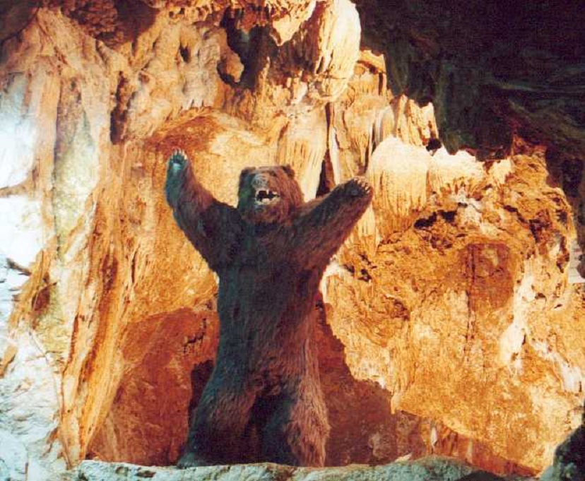 L’ours de la grotte des demoiselles